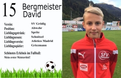 Bergmeister-David