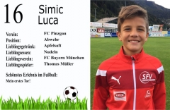 Simic-Luca