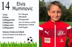 Elvis Muminovic