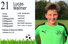 Lucas Wallner