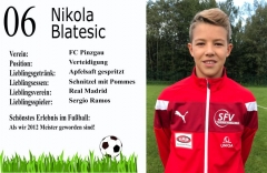 Nikola Blatesic